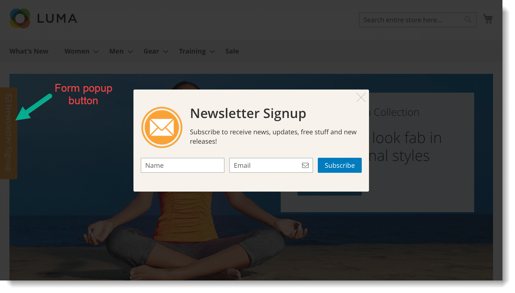 Newsletter signup form _ Popup type