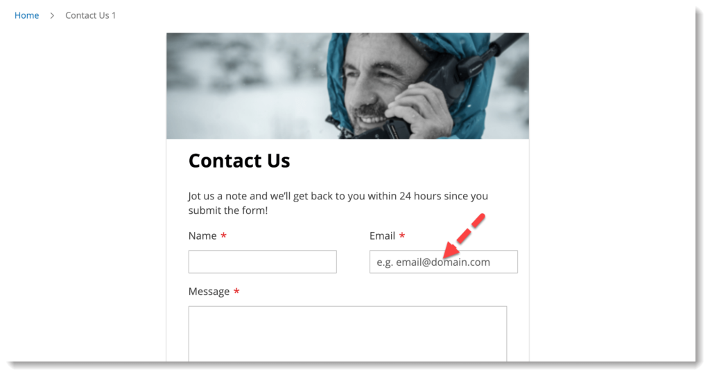 Increase contact form conversion rate _ Placeholder text