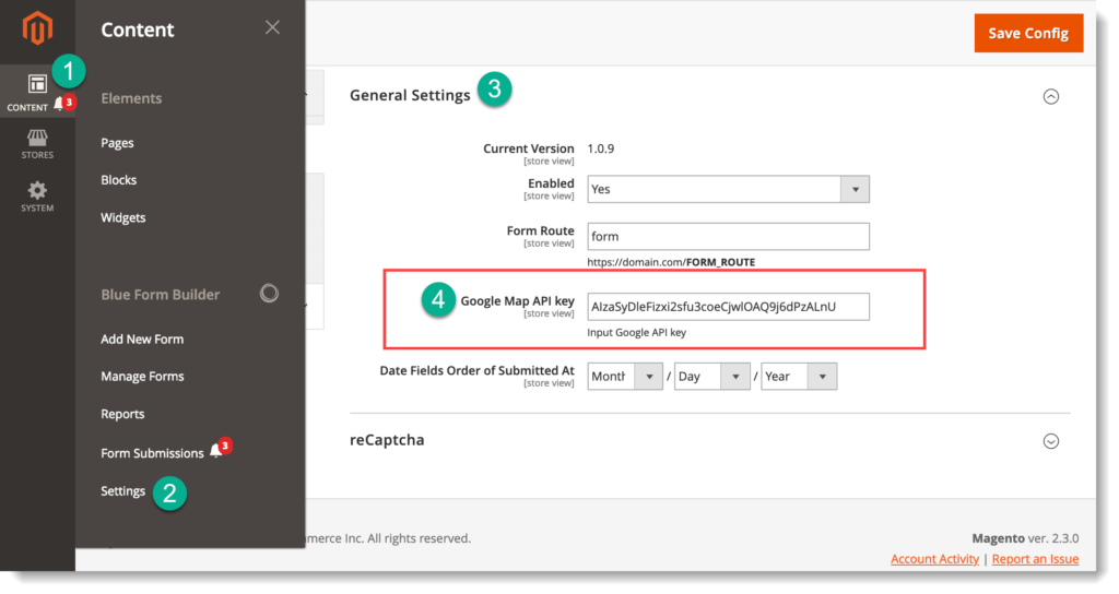 Magento 2 form builder _ Add Google Maps API key