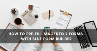 Magento 2 Form Builder _ Pre-fill forms