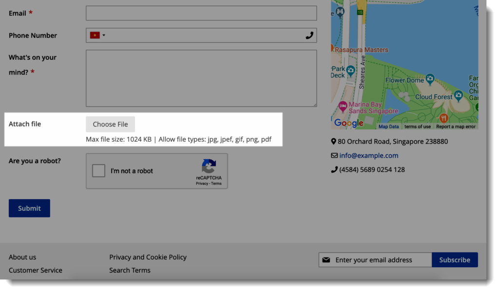 Blue Form Builder 2 _ File Upload element with no drag drop interface