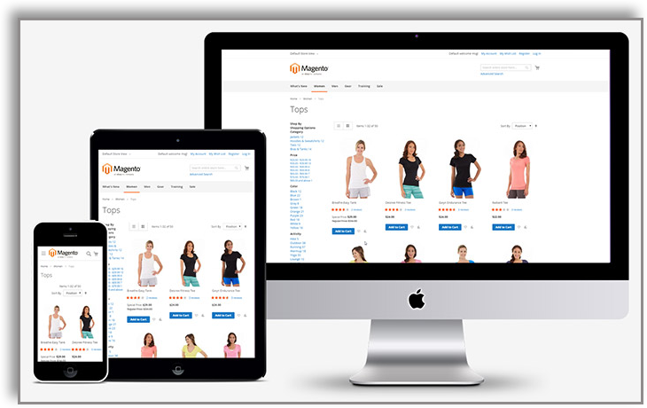 Magento responsive websites