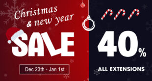 Christmas & New Year Sale