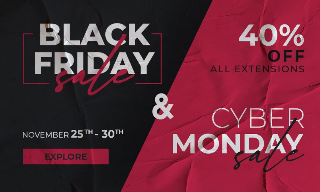 Biggest sale holiday: Black Friday and Cyber Monday