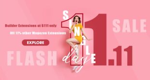 Singles' Day 2020 Flash Sale