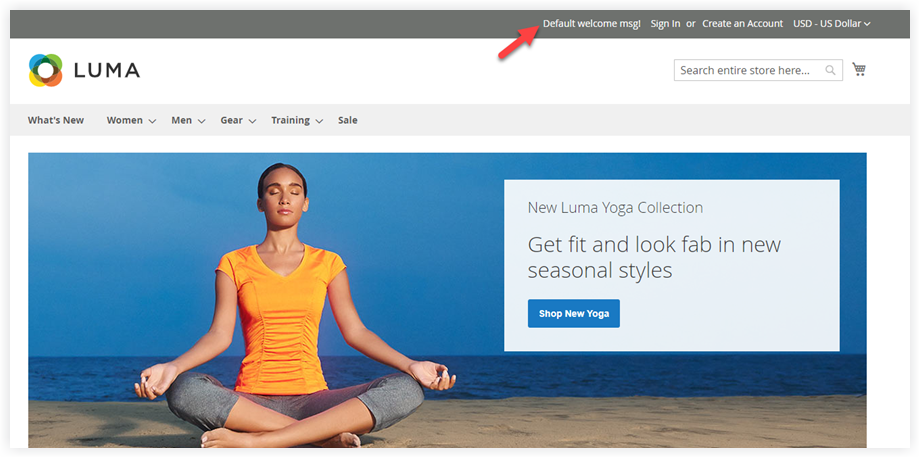 Magento 2 welcome message