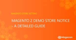 magento-2-demo-store-notice