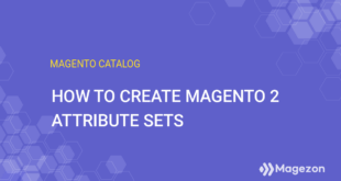step-by-step-guide-creating-magento-2-attribute-sets