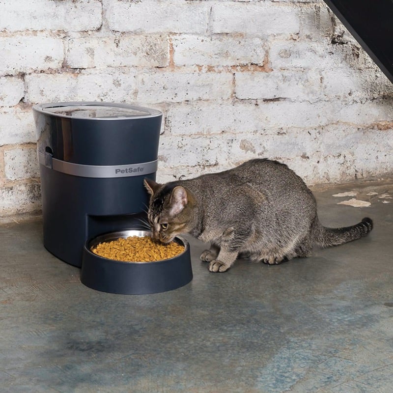 Automatic Pet Feeder top dropshipping products