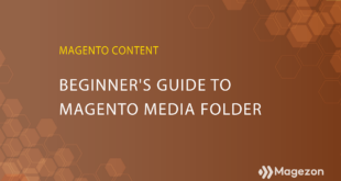 beginer-guide-to-magento-folder-01