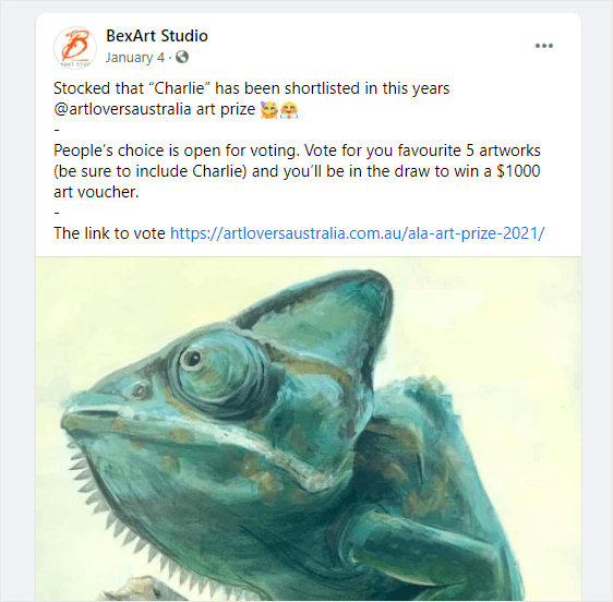 Facebook voting contest - Facebook giveaway ideas