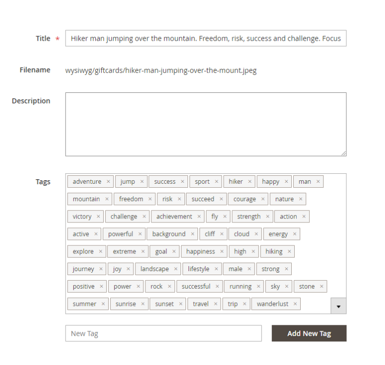 The Complete Guide to Magento 2 Media Gallery Magezon