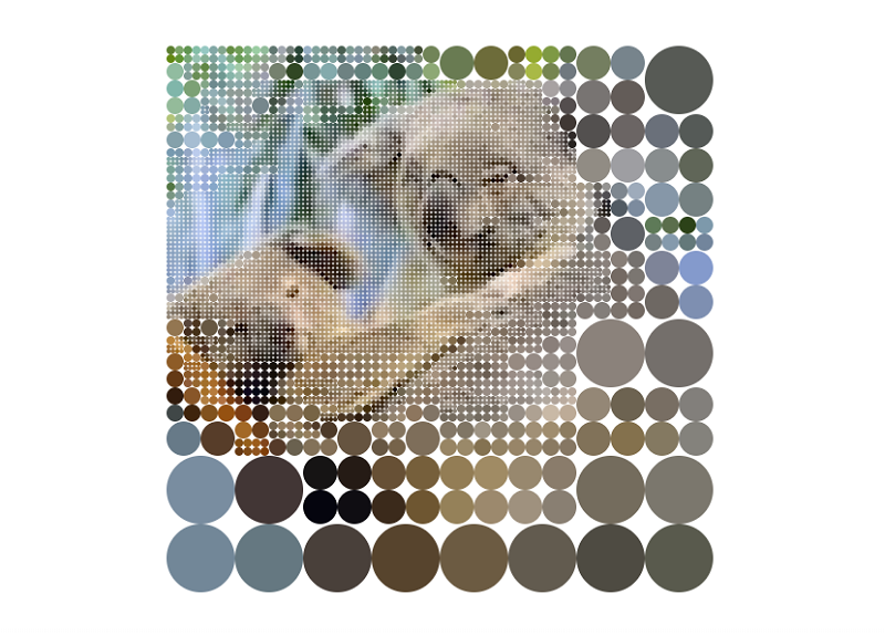 koalas-to-the-max