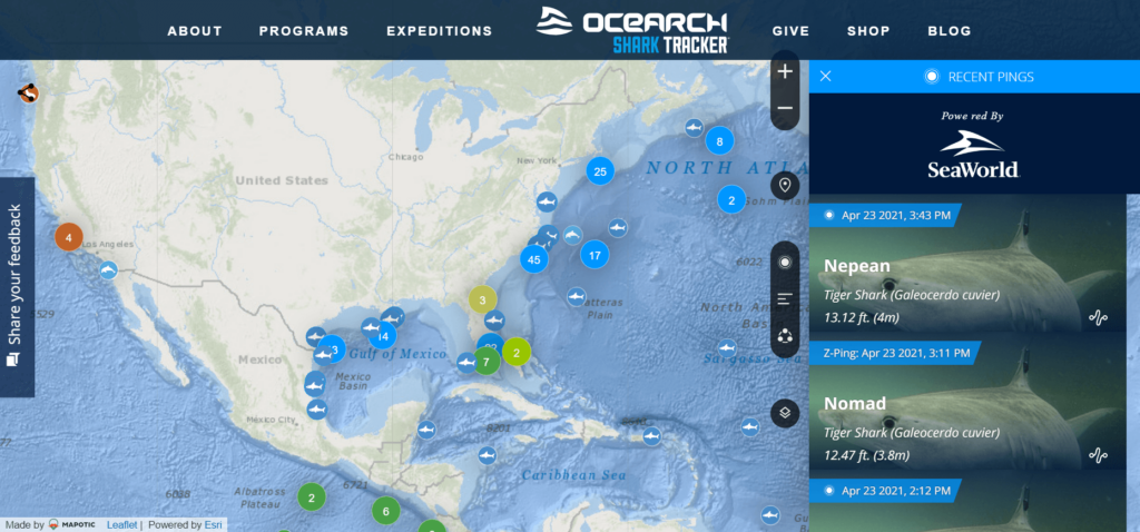 ocearch-shark-tracker