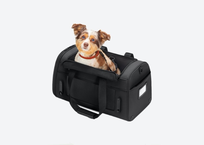Pet carrier best dropshipping products to sell online from home