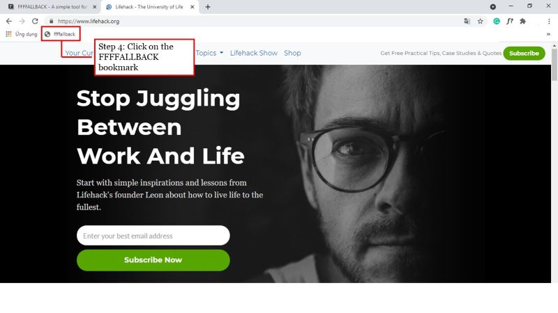 step4-click-on-the-ffffallblack-bookmark