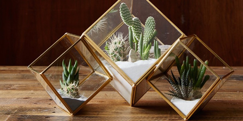 Terrariums products you can make at home and sell