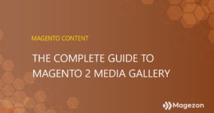 the-complete-guide-to-magento-2-media-gallery