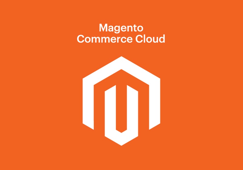 a-brief-introduction-about-Magento