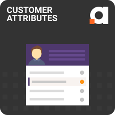 amasty customer attributes for magento 2