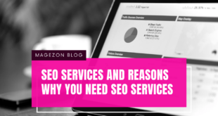 seo-services-for-ecommerce-websites-2