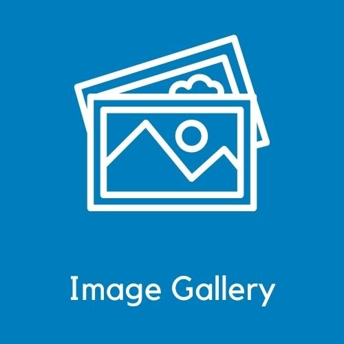 Magento 2 Image Gallery from Magezon