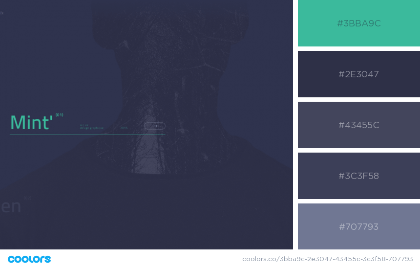 color palettes for website - Margaux Leroy 