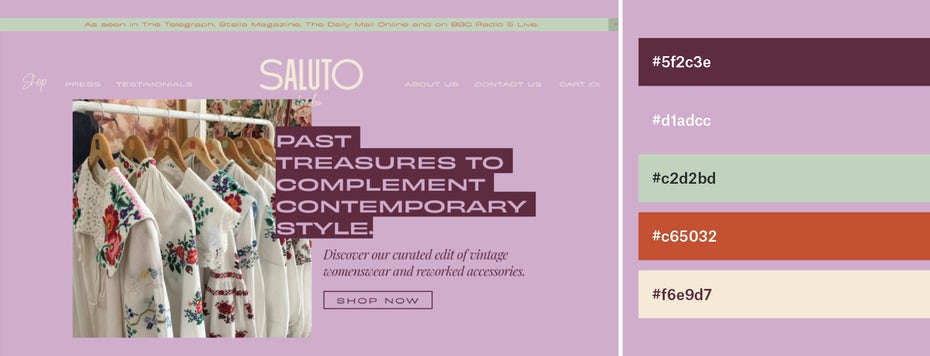 color palettes for website saluto