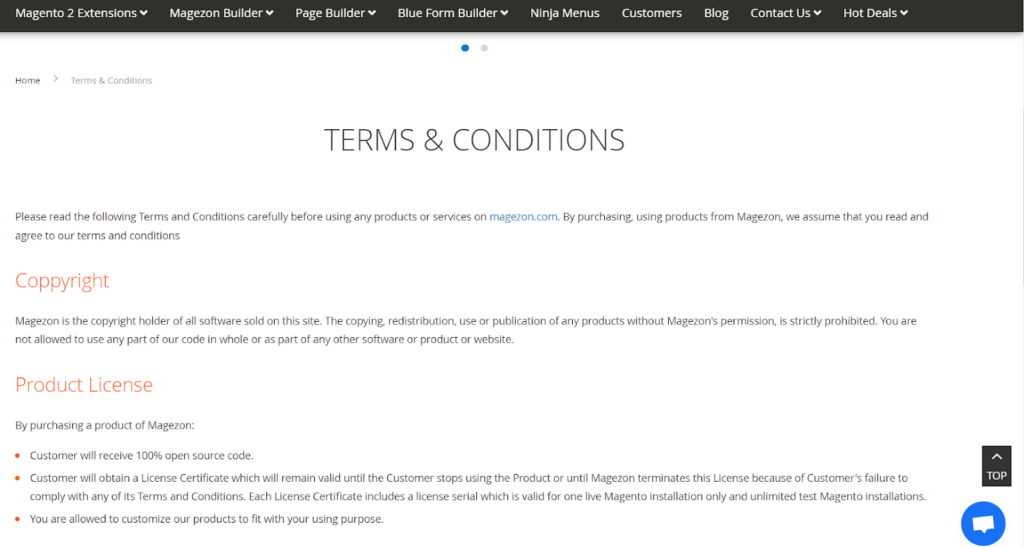 terms and conditions website
