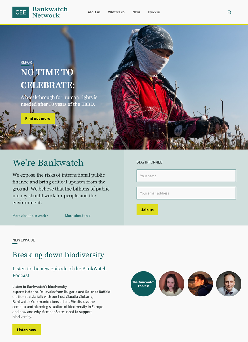 Bankwatch- Website Front Page Design.