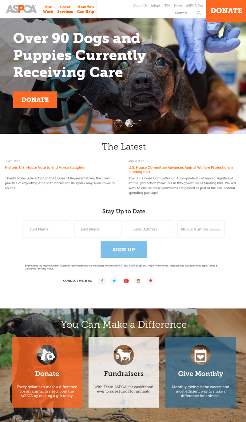 Aspca - One Of The Best Home Page.