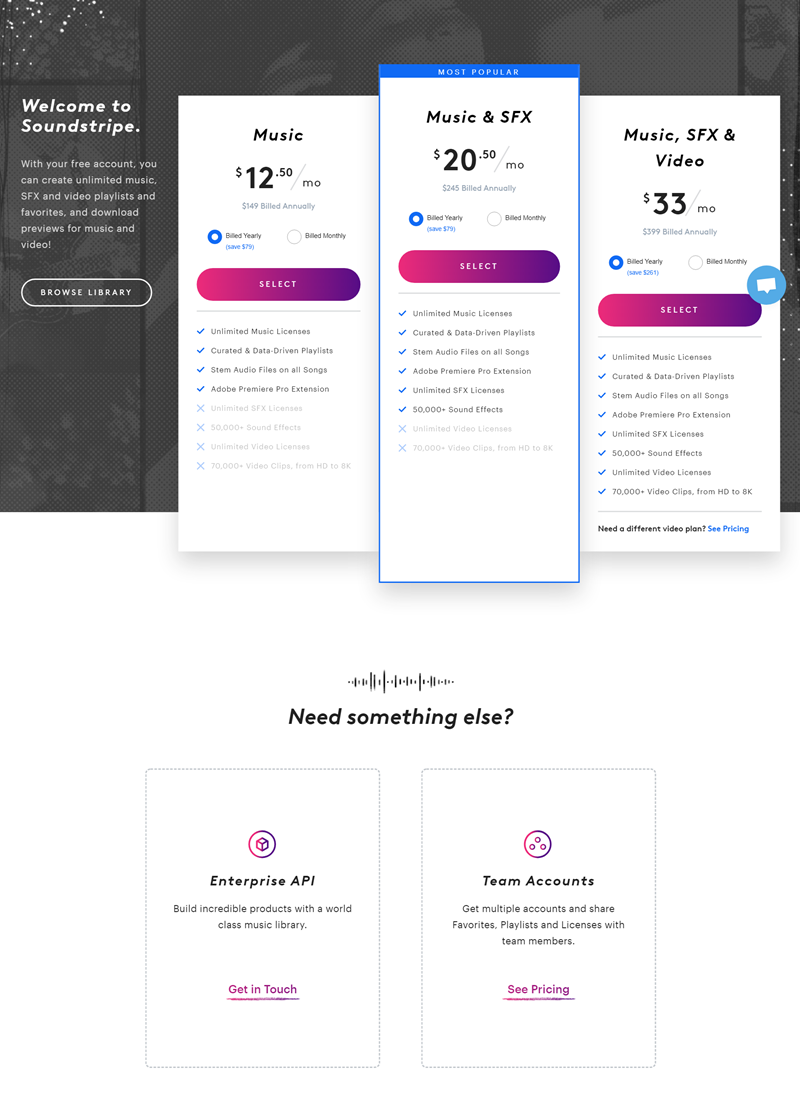 Pricing Options Of Soundstripe.