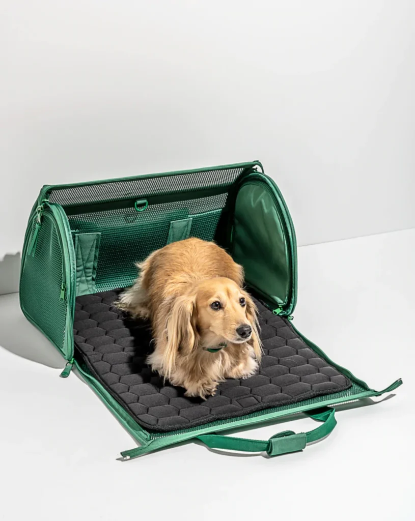 pet carry case