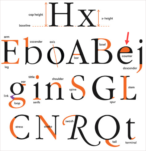 Components of typography